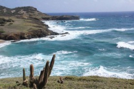 Le Cap Estate battu par le vent.