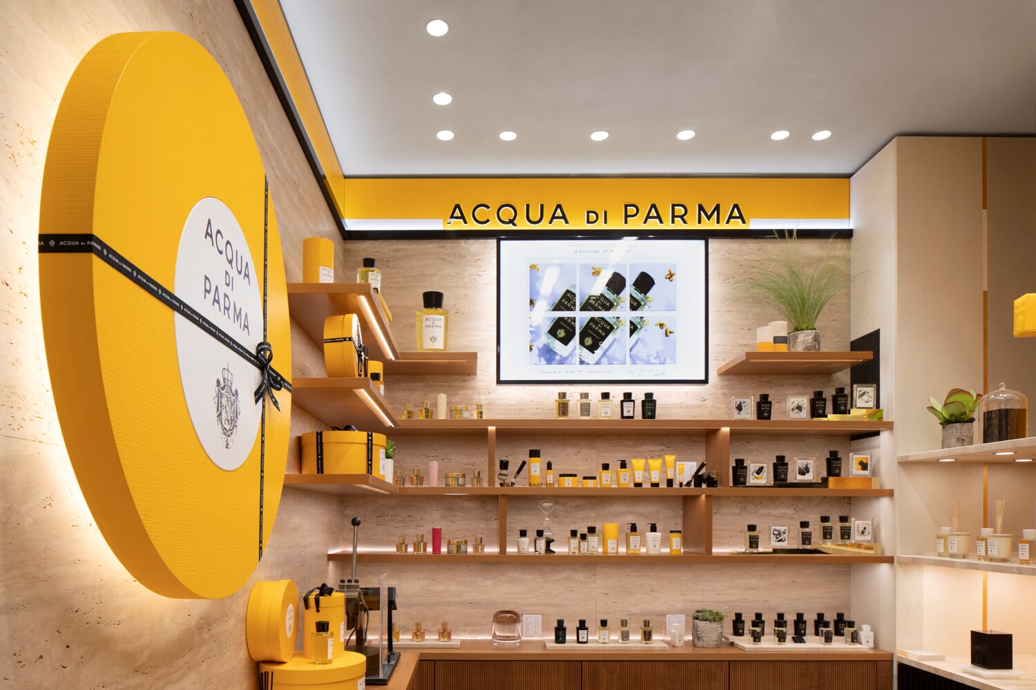 Acqua Di Parma